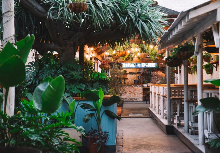 e3c6153c2bb4584b00548e684f0ab20c