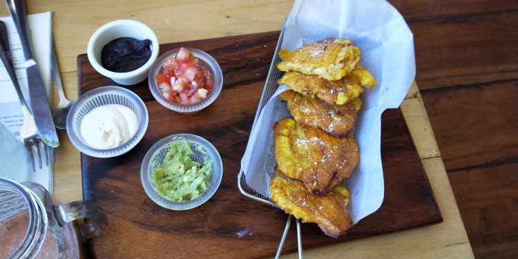 Monteverde Costa Rica Yogi Journey