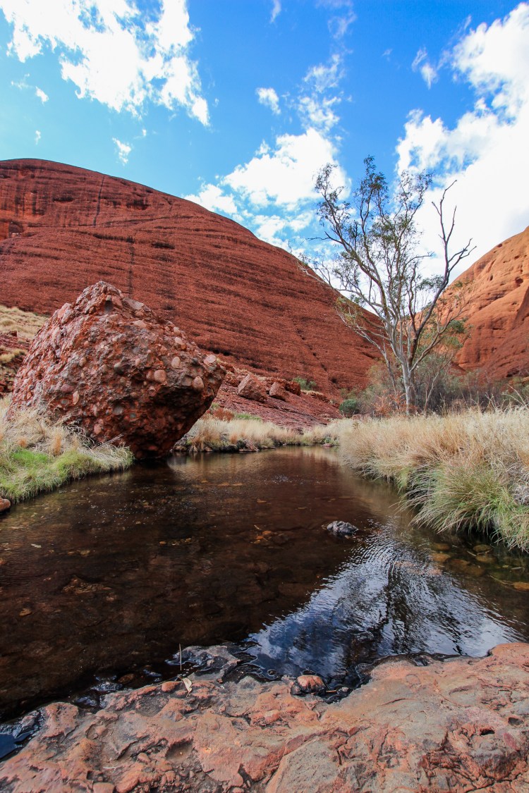 Australia Yogi Journey