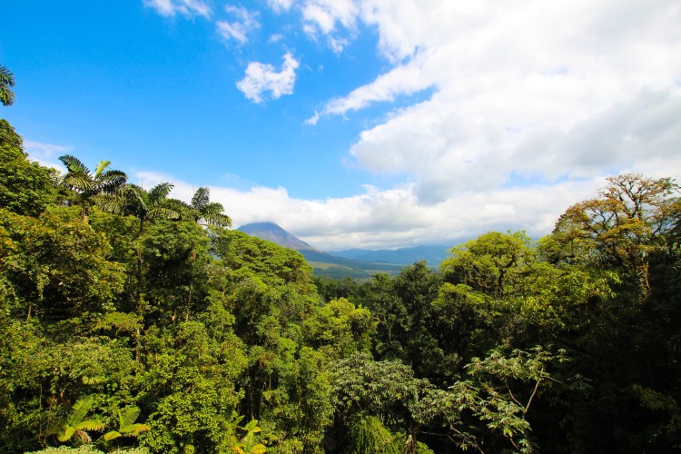 Arenal Volcano Costa Rica Yogi Journey