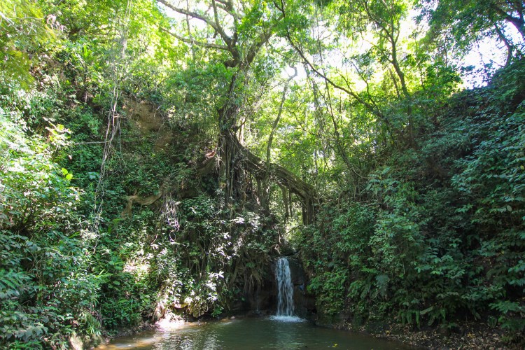 San Jose Xandari Resort Yogi Journey