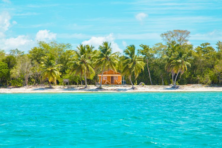 photo-of-wooden-cabin-on-beach-near-coconut-trees-2598683
